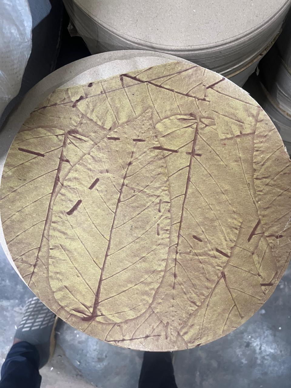 Eco-Friendly Sal Leaf (Dona Patta) Raw Material Stack